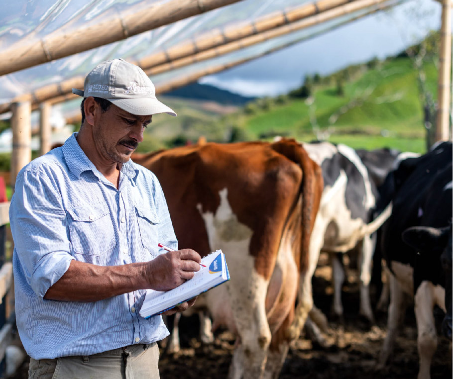 DESARROLLO Agroempresarial